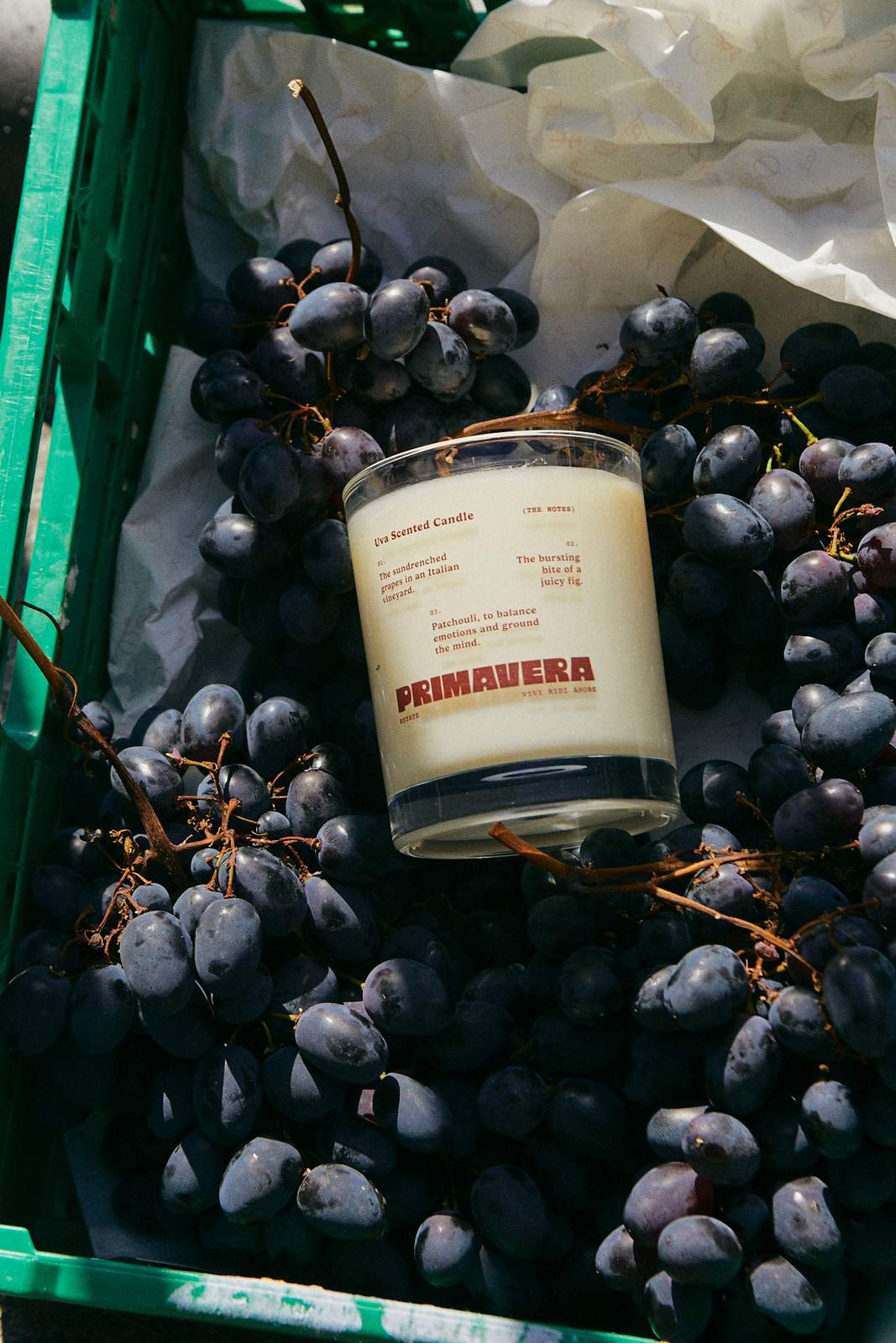 Earl of East Uva scented candle in a crate of red grapes